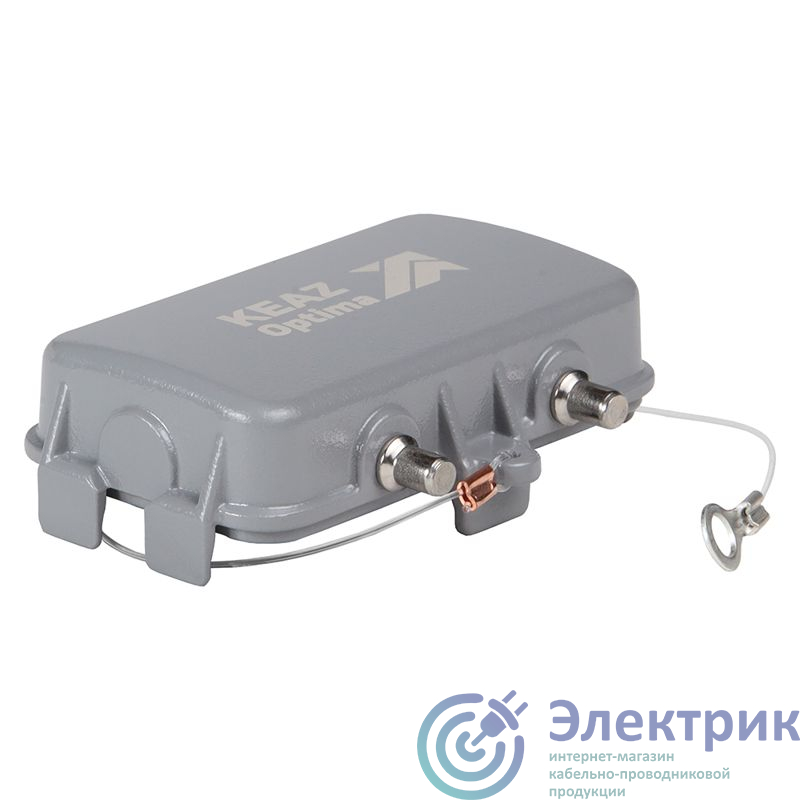 Фото КЭАЗ 353700