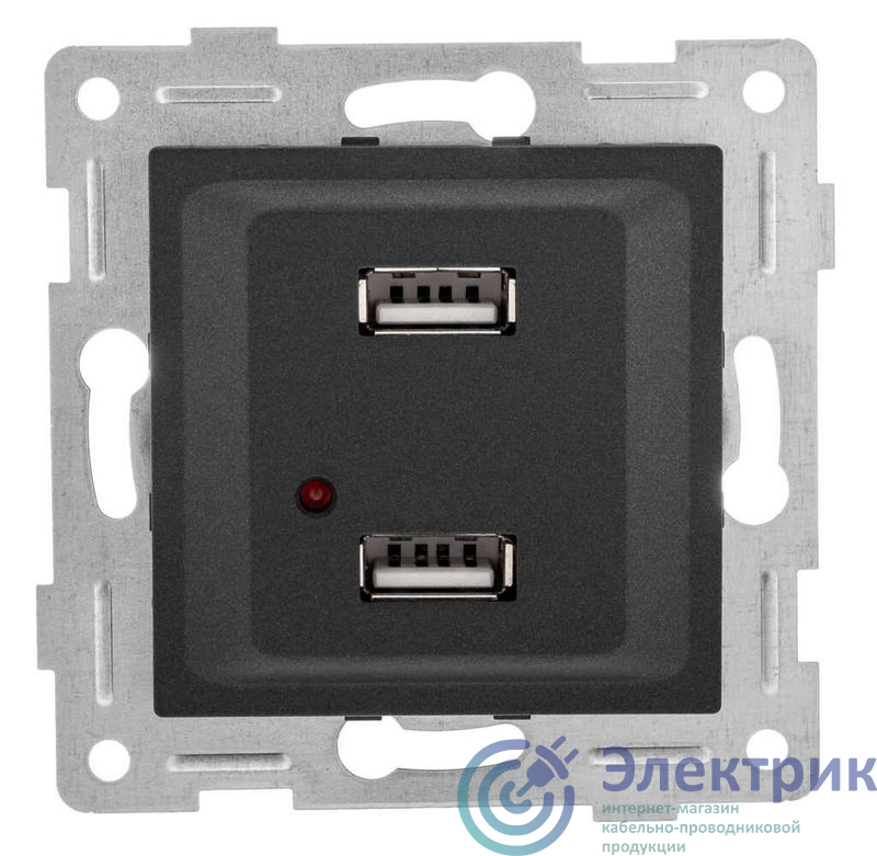 Розетка USB 2-м СП Ugra механизм графит GUSI С11USB2-010