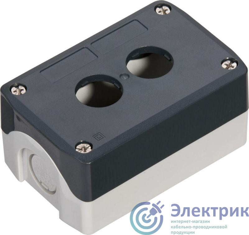 Фото Systeme Electric SALD02