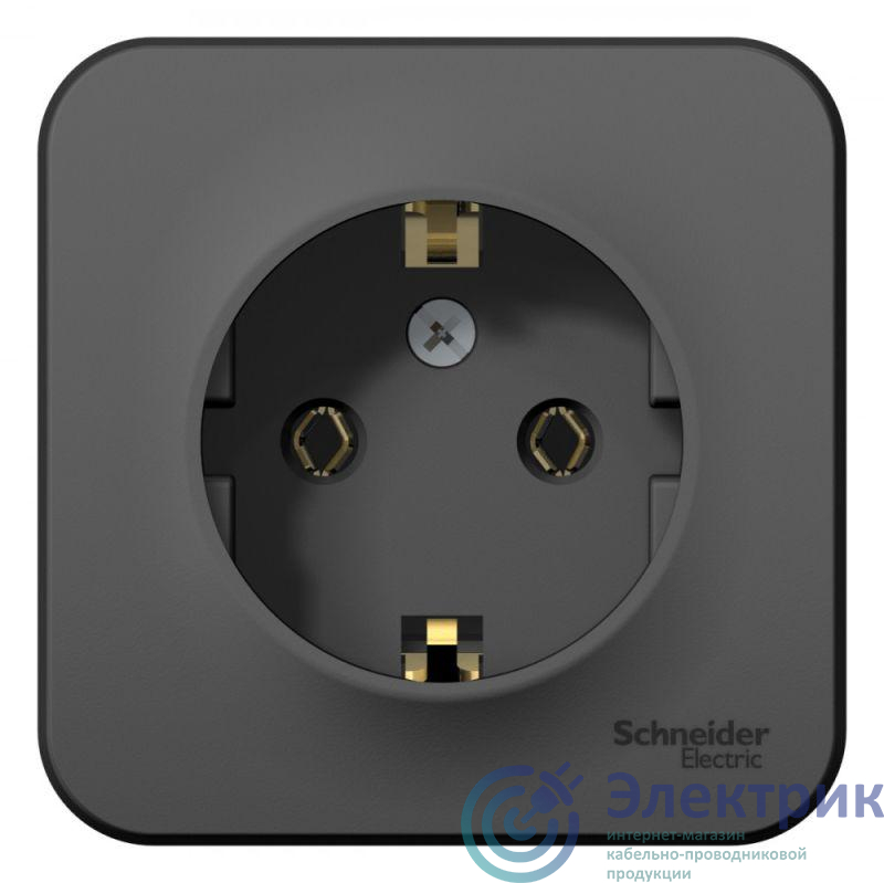 Фото Systeme Electric BLNRA010116