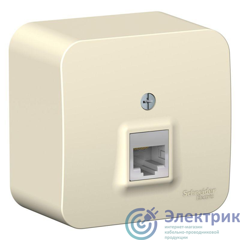 Фото Systeme Electric BLNIA045002