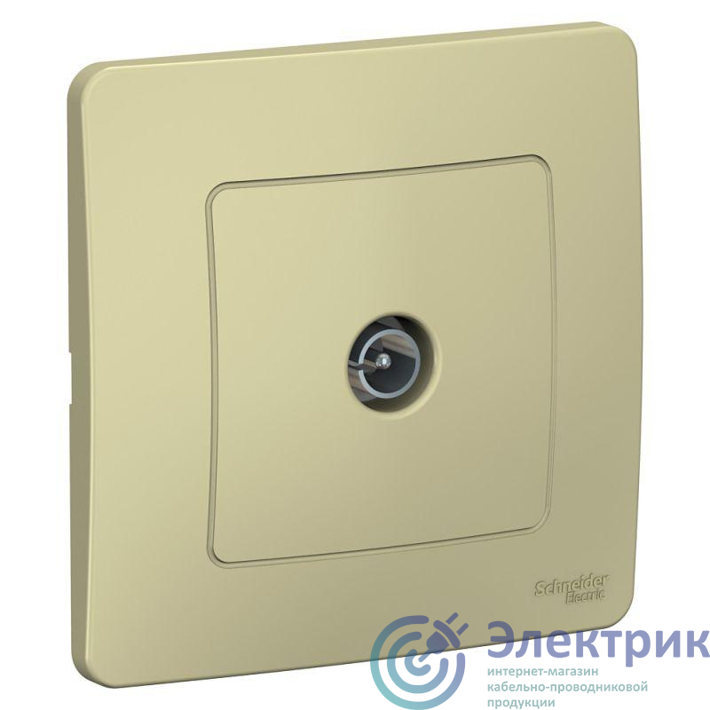 Фото Systeme Electric BLNTS000017