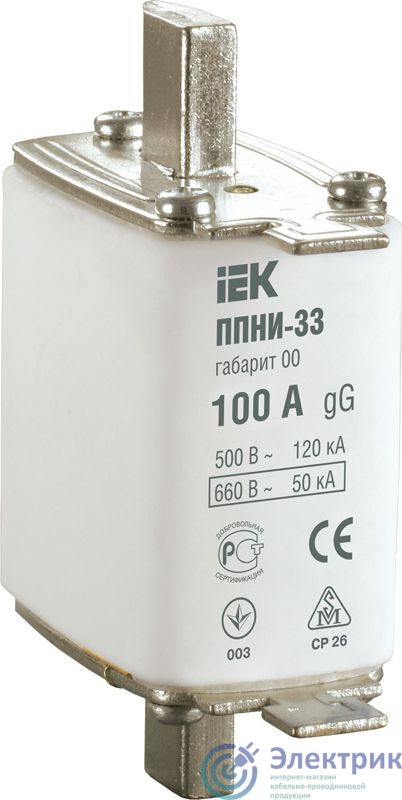 Фото IEK DPP10-100