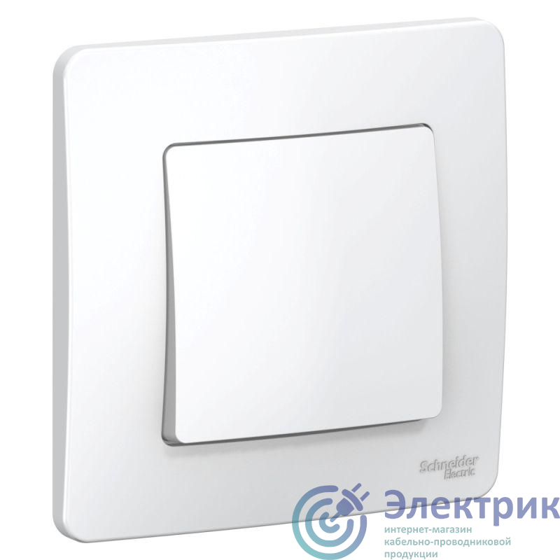 Фото Systeme Electric BLNVS010101