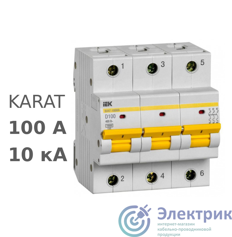 Фото IEK MVA43-3-100-D