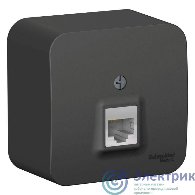Фото Systeme Electric BLNIA045006