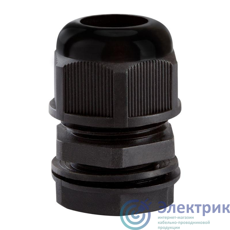 Фото КЭАЗ 143119