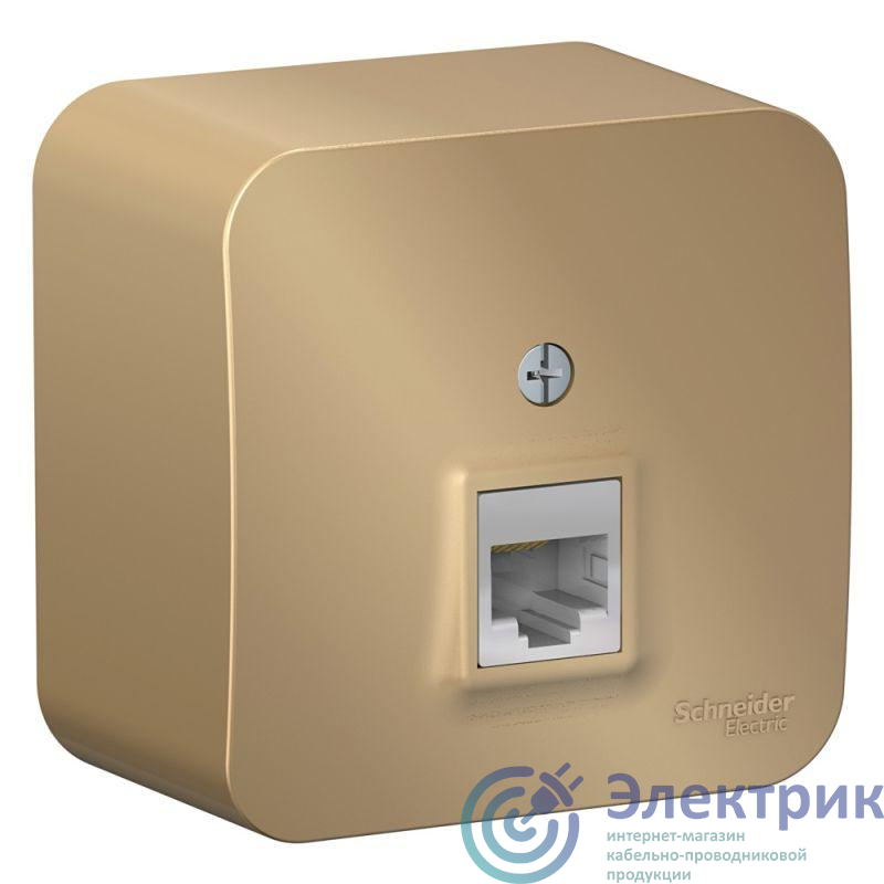 Фото Systeme Electric BLNIA045004