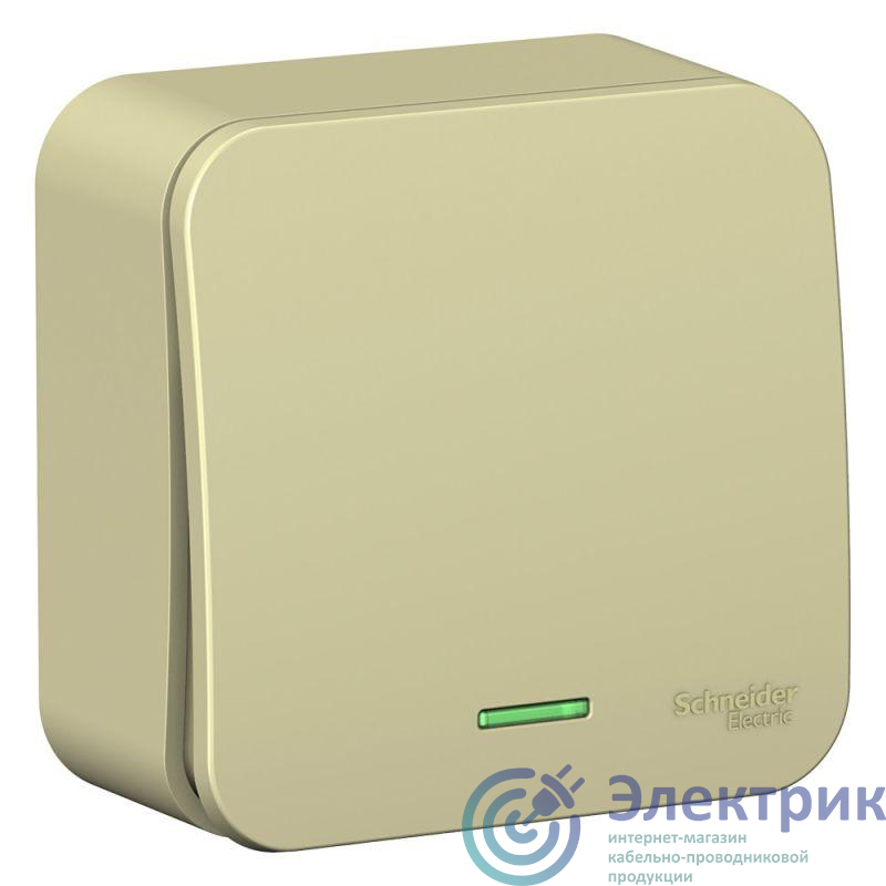 Фото Systeme Electric BLNVA101117