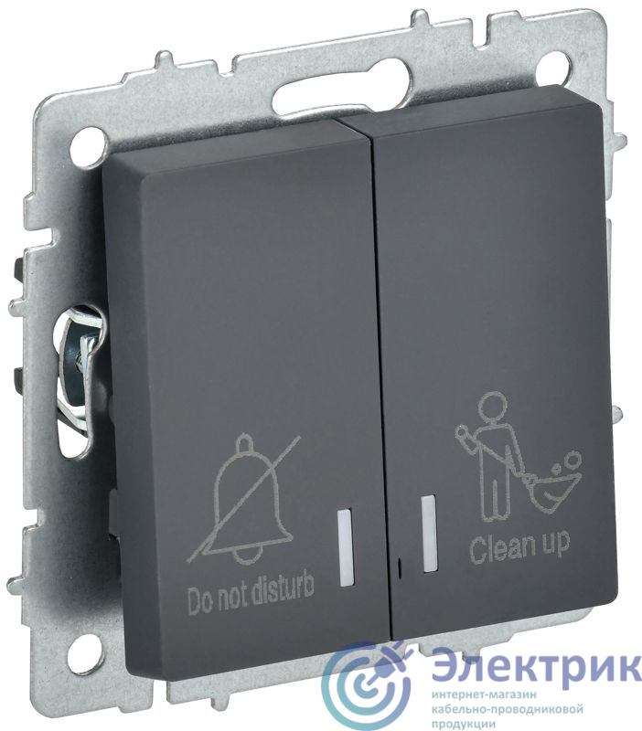 Фото IEK BR-V20-2-10-K53