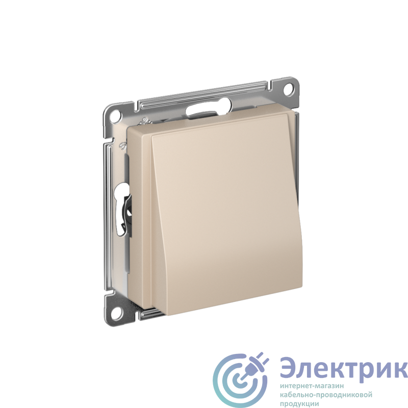 Фото Systeme Electric ATN001299