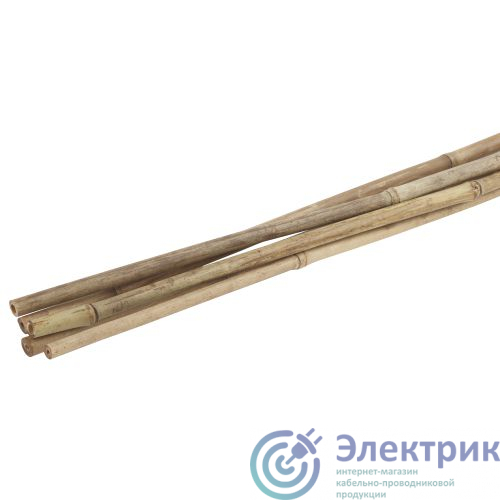 Фото Green Apple Б0008330