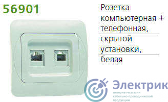 Розетка компьютерная + телефонная 2-м СП Sunny RJ45 + RJ11 10А IP20 бел. POWERMAN 1151394