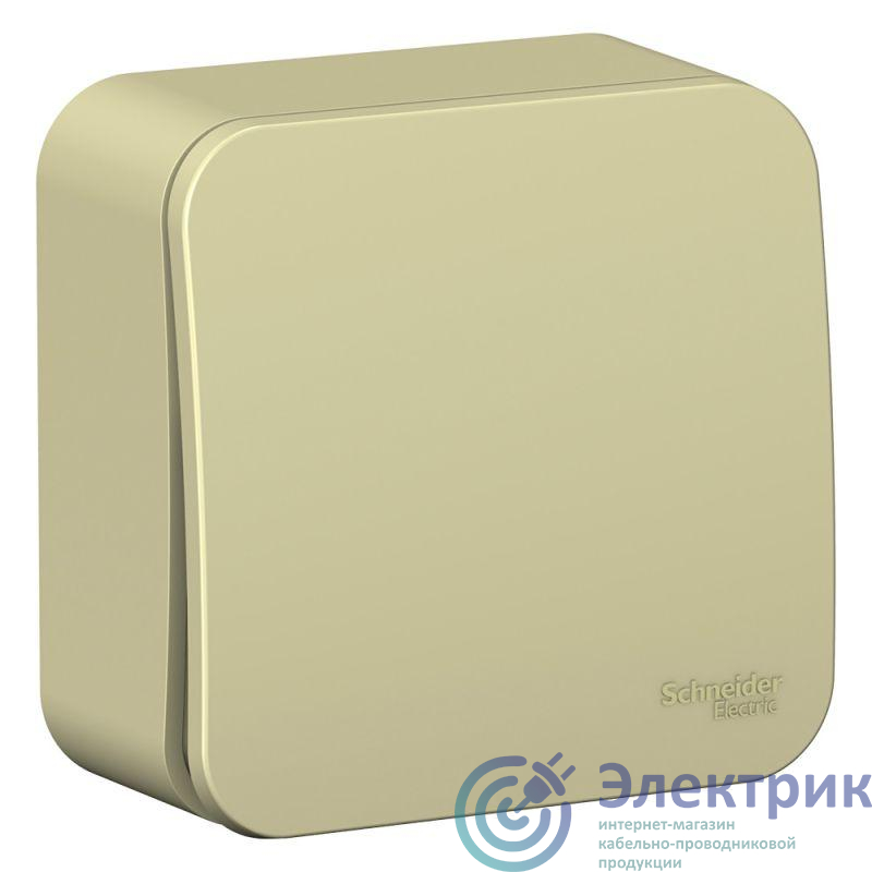 Фото Systeme Electric BLNCA101017