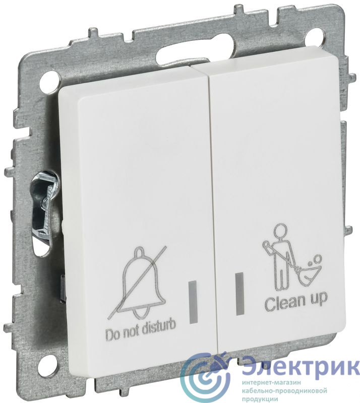 Фото IEK BR-V20-2-10-K91