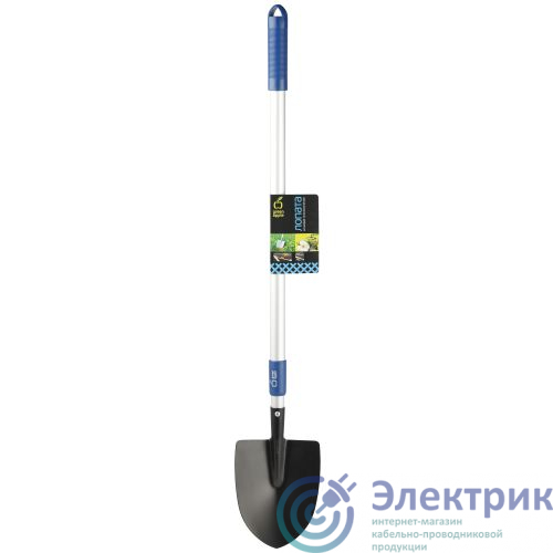 Фото Green Apple Б0003075