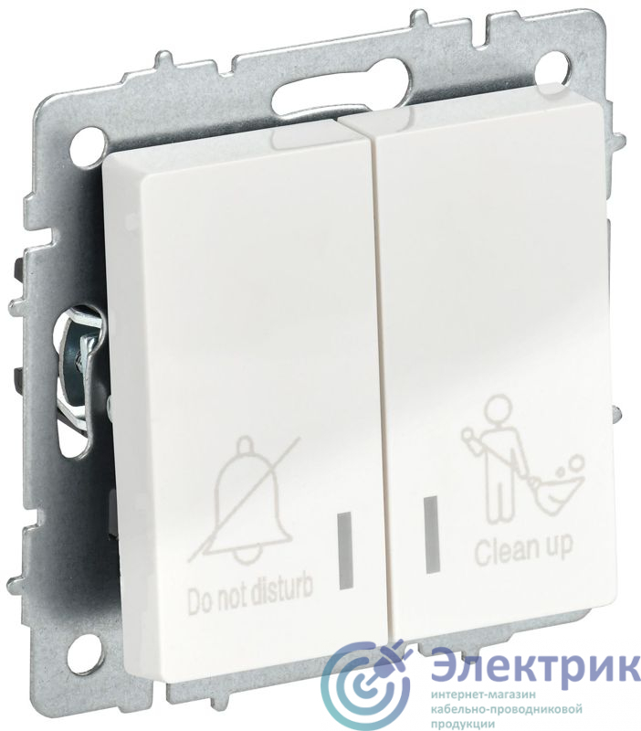Фото IEK BR-V20-2-10-K01