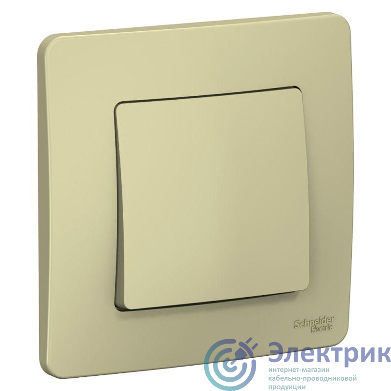 Фото Systeme Electric BLNVS010107