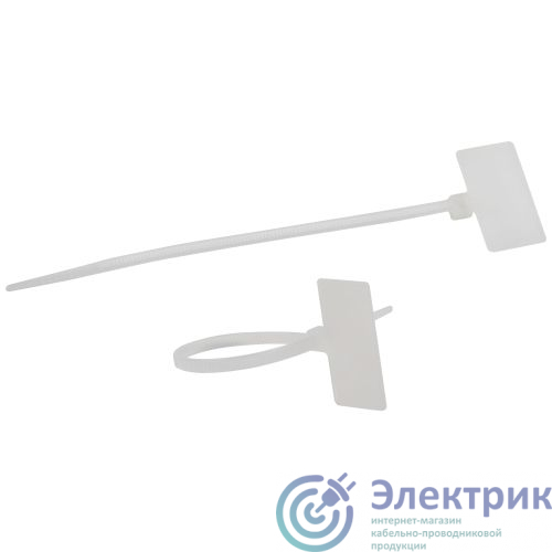 Фото  Б0066059