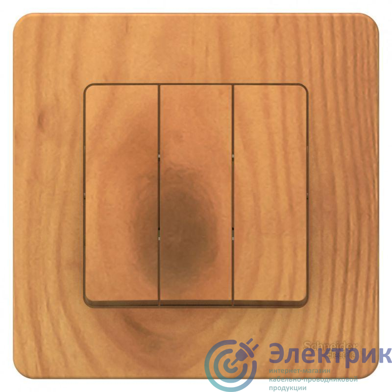 Фото Systeme Electric BLNVS100505
