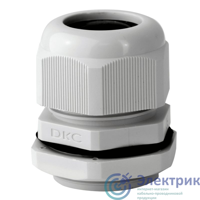 Фото DKC 53300