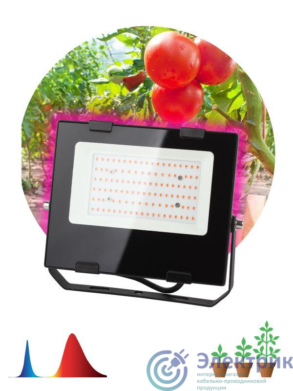 Прожектор светодиодный для растений FITO-50W-RB-LED 50Вт IP65 для цветения и плодоношения красно-синего спектра ЭРА Б0046368