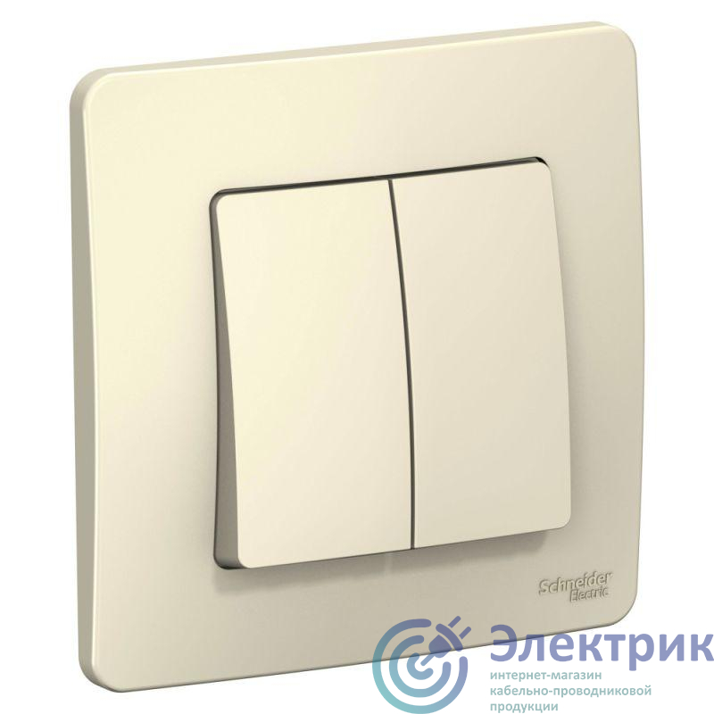 Фото Systeme Electric BLNVS010502