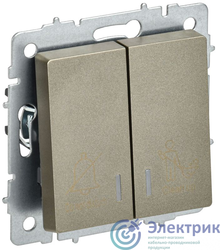 Фото IEK BR-V20-2-10-K37