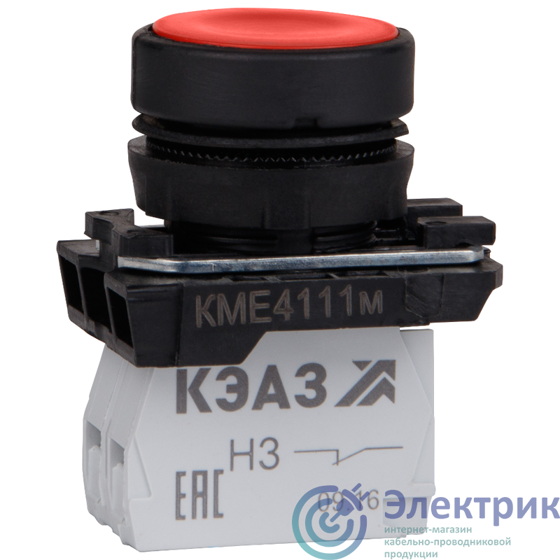 Фото КЭАЗ 248241