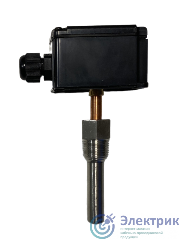 Фото Systeme Electric SPTC100