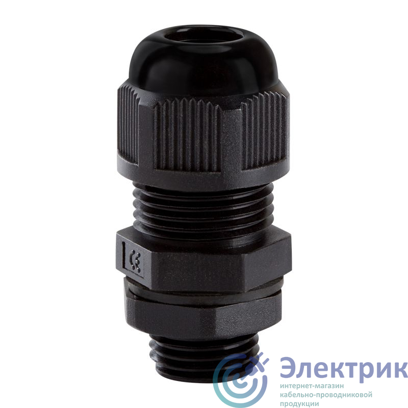 Фото КЭАЗ 143117