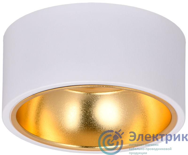 Светильник 4017 накладной потолочный под лампу GX53 бел./золото IEK LT-UPB0-4017-GX53-1-K55