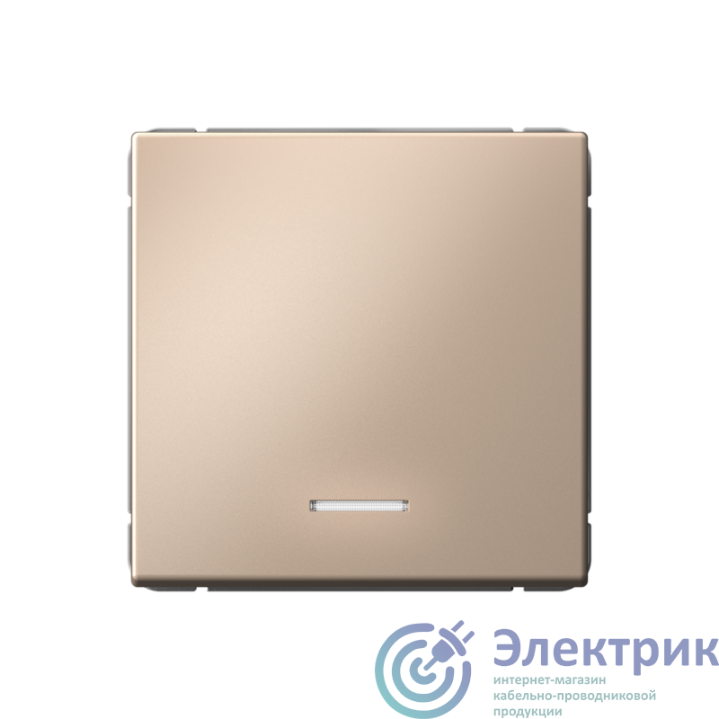 Фото Systeme Electric GAL001216