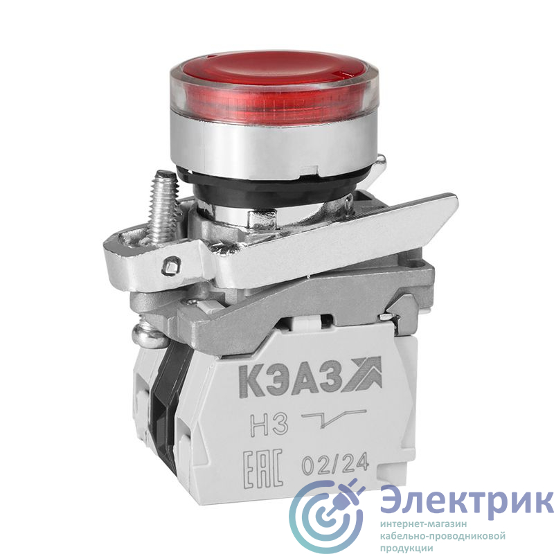 Фото КЭАЗ 248260