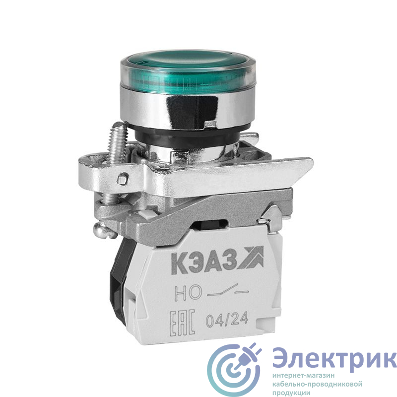 Фото КЭАЗ 248259