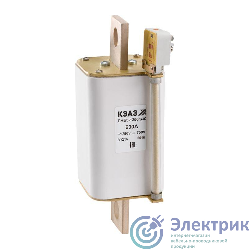 Фото КЭАЗ 110800