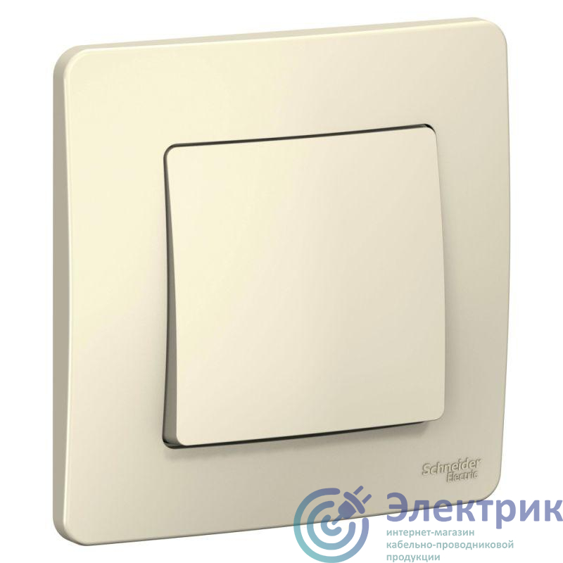 Фото Systeme Electric BLNVS010102