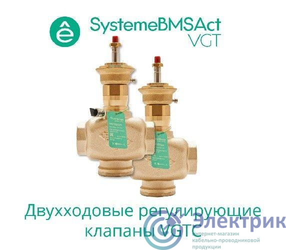Фото Systeme Electric VGTC015