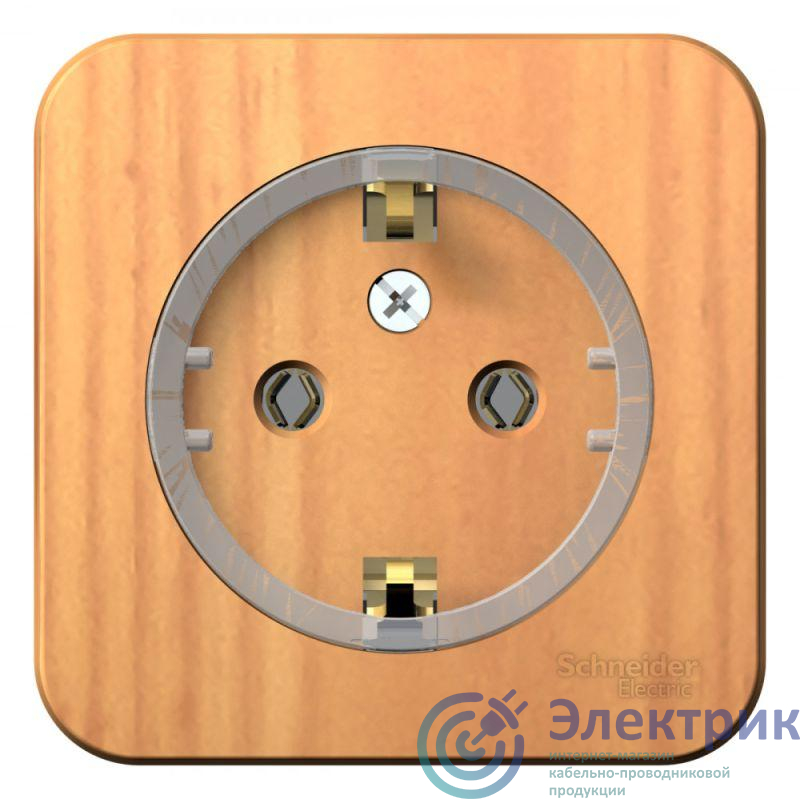 Фото Systeme Electric BLNRA110115