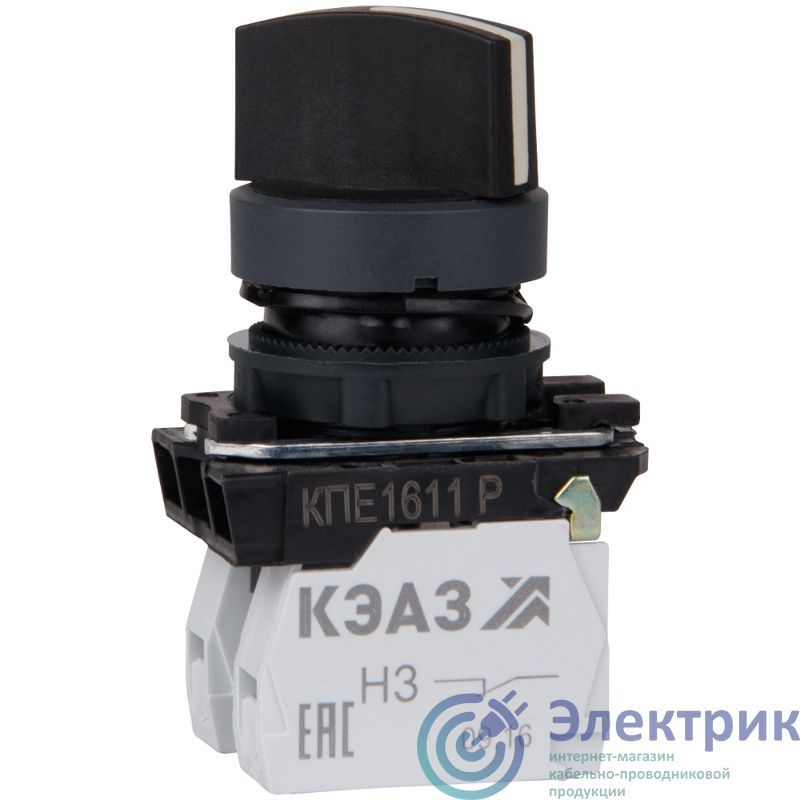Фото КЭАЗ 248268