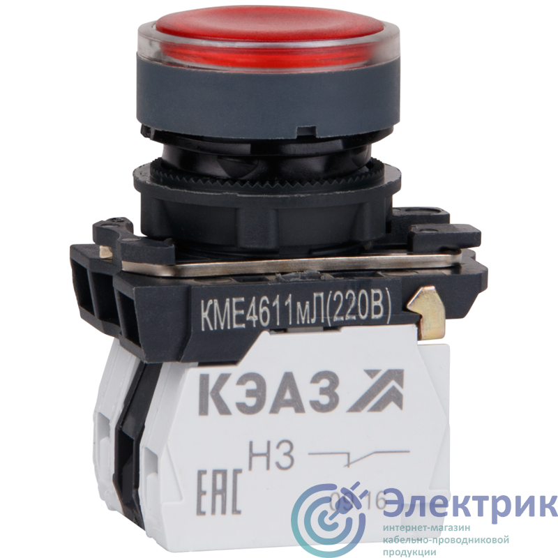 Фото КЭАЗ 248251