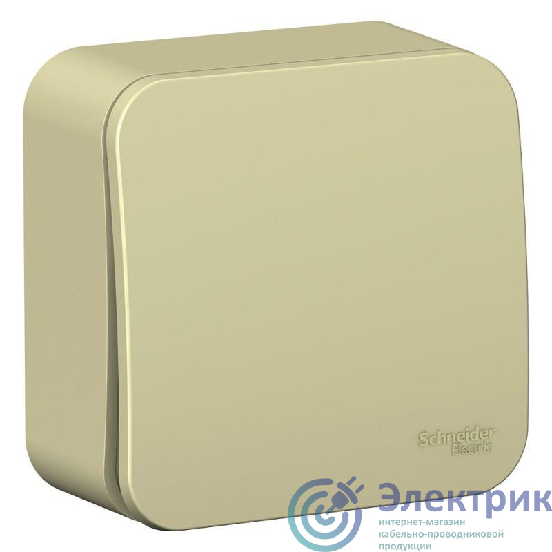 Фото Systeme Electric BLNVA101017