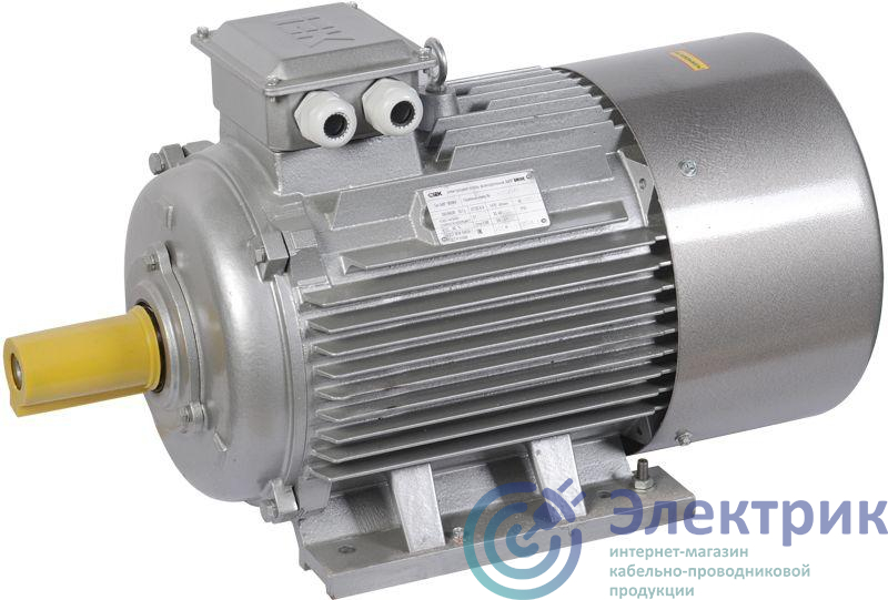 Электродвигатель АИР DRIVE 3ф 180M2 380/660В 30кВт 3000об/мин 1081 IEK DRV180-M2-030-0-3010